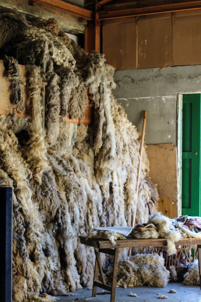 the middle woolstore ready for Oliver's talk