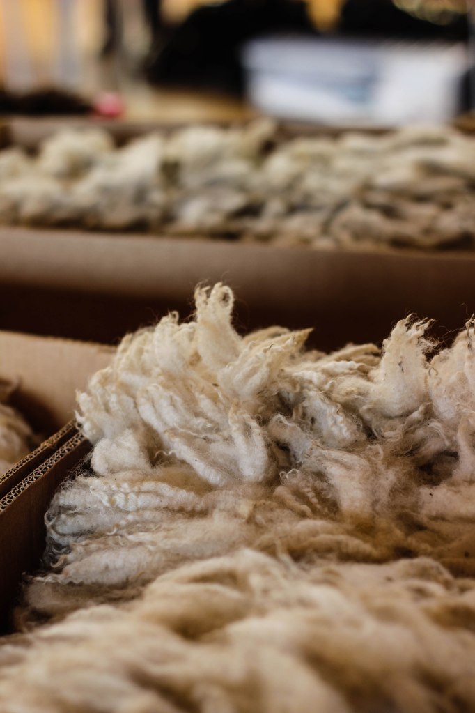 fleeces at the Guild Teas