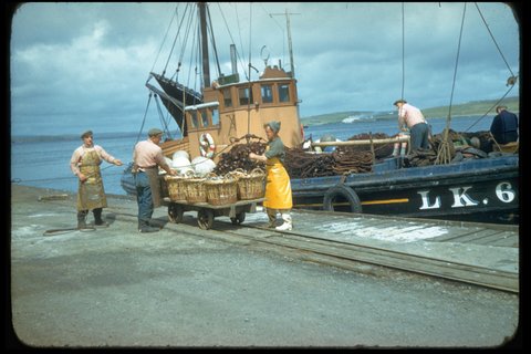 Research LK 62 landing herrings at Garthspool, to J&M Shearer. Photo: Magnie Shearer
